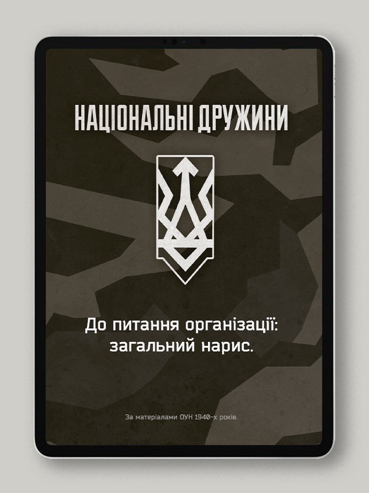 Національні дружини. До питання організації