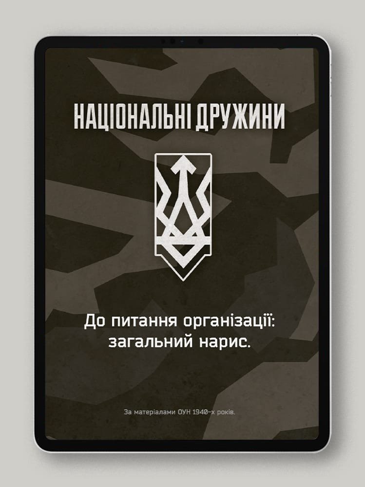 Національні дружини. До питання організації