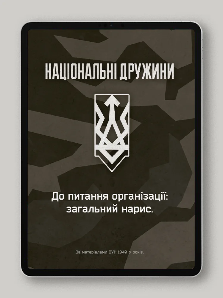 Національні дружини. До питання організації