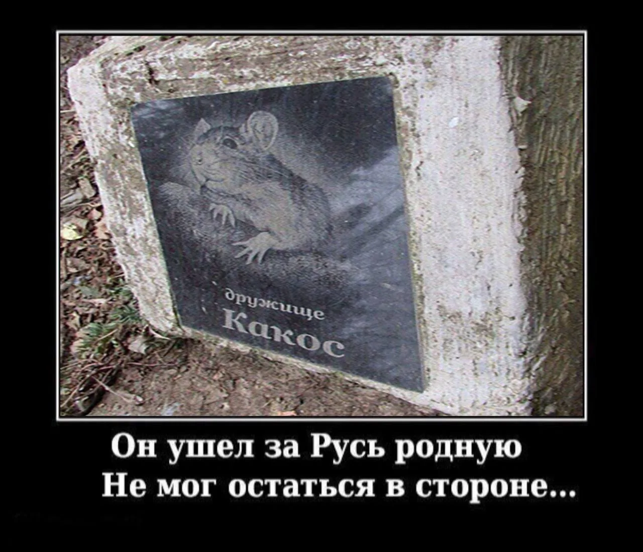 Патч «KAKOS JUGEND» - Зображення 5